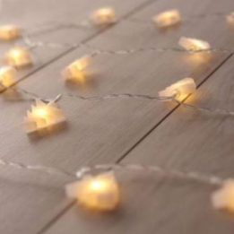 LED girlianda Christina, 20 vnt., šiltai baltos spalvos