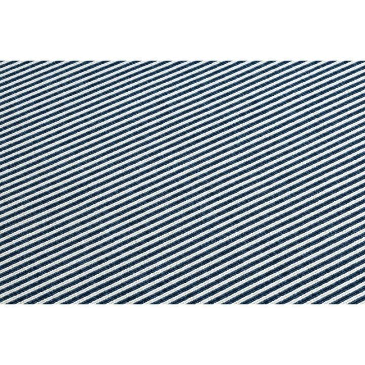Kilimas su mėlynais dryžiais WINK LINES