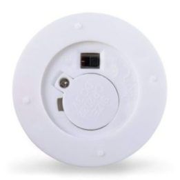 Šviečiantis dekoratyvinis medelis LEDDECO