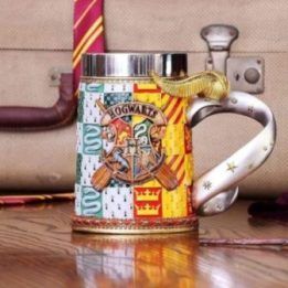 Harry Potter nerūdijančio plieno puodelis 600 ml