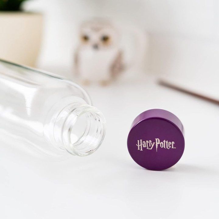Stiklinė gertuvė 500 ml su Hogvartso motyvu Harry Potter