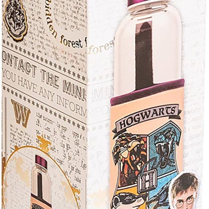 Stiklinė gertuvė 500 ml su Hogvartso motyvu Harry Potter