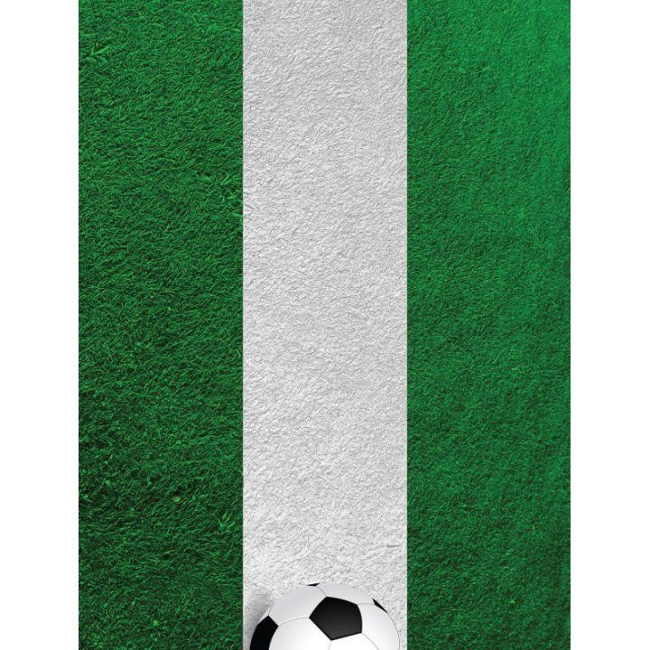 Apsauginė plėvelė iPad 2/3/4 Nexgen Skins Soccer Field 3D