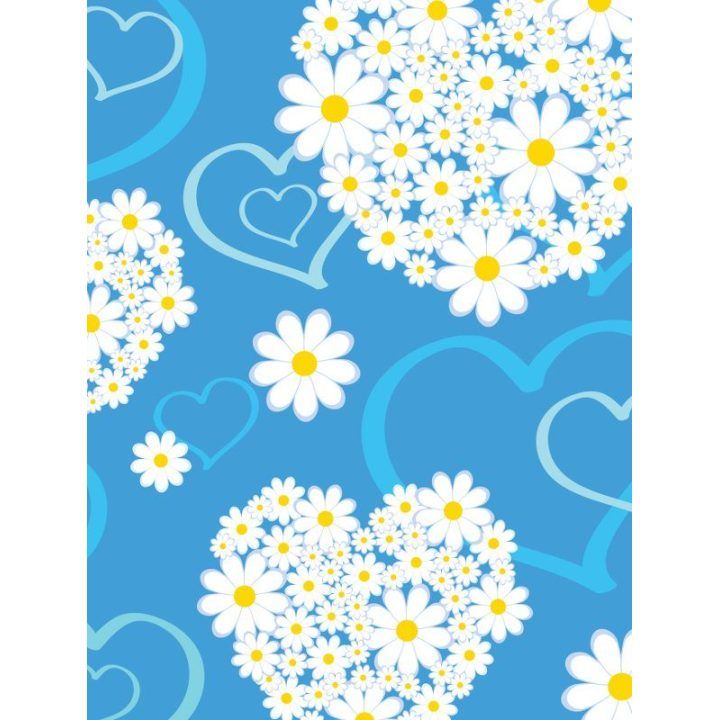 Nexgen Skins 3D dėklas iPad 2/3/4, Hearts and Daisies
