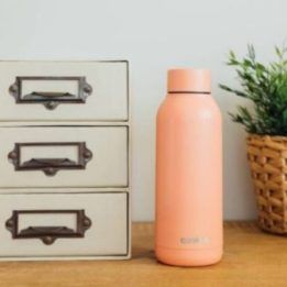 Nerūdijančio plieno gertuvė 510 ml Quokka Solid, persikinė