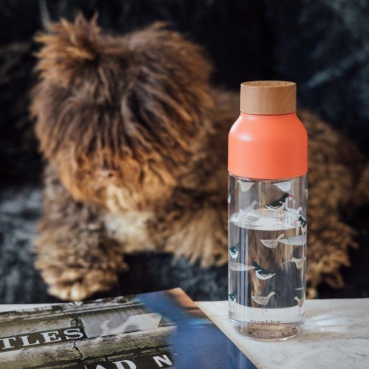 Quokka Ice gertuvė 720 ml, Ecozen®, Birds
