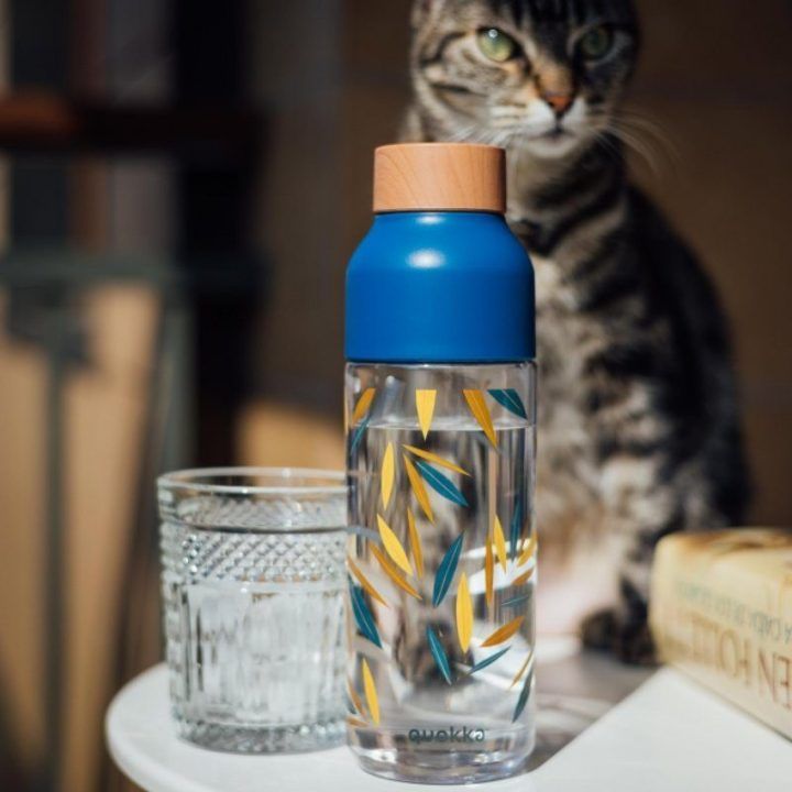 Gertuvė Quokka Ice 720 ml, bambuko spalvos