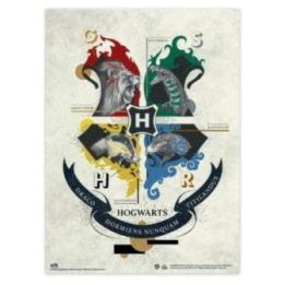 „Harry Potter“ 2 plakatų rinkinys 38 × 52 cm