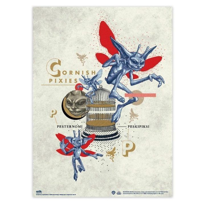 „Harry Potter“ 2 plakatų rinkinys 38 × 52 cm