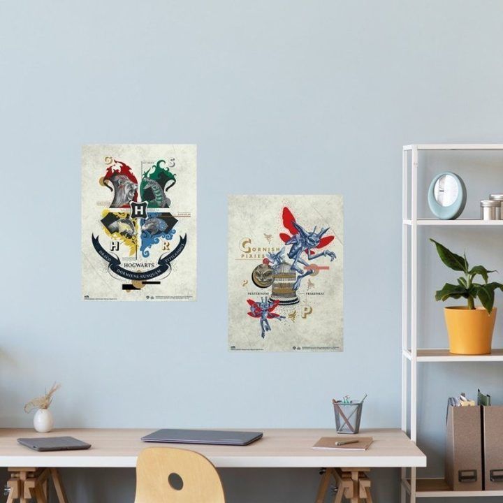 „Harry Potter“ 2 plakatų rinkinys 38 × 52 cm