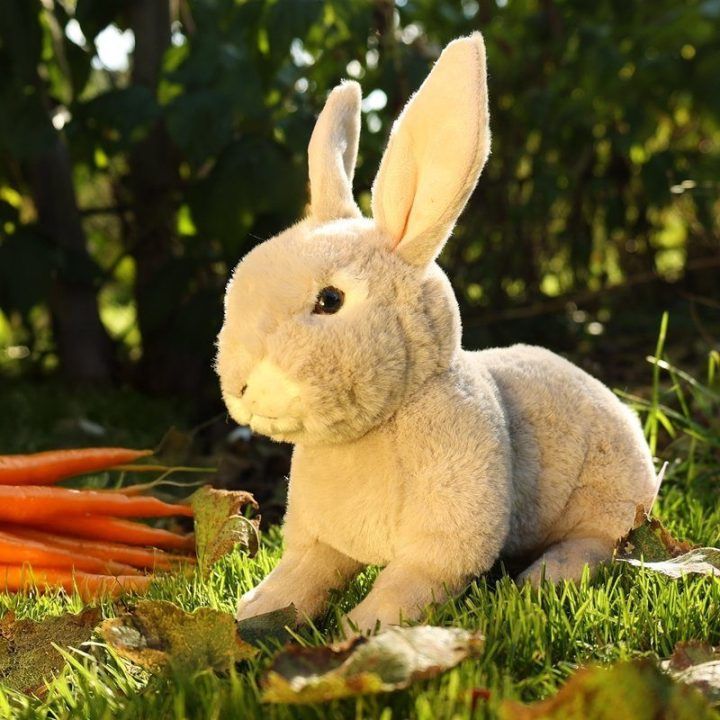 Pliušinis zuikis Rappa, 23 cm, Eco-Friendly