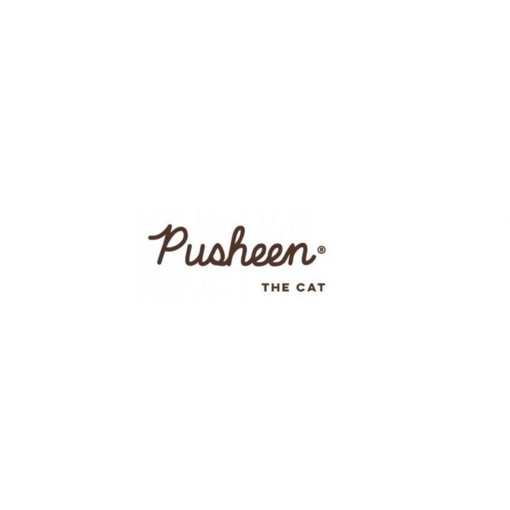 Pusheen nerūdijančio plieno gertuvė su laikikliu, 500 ml