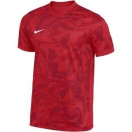 Vyriški Nike Dri-FIT Precision VII marškinėliai, raudoni