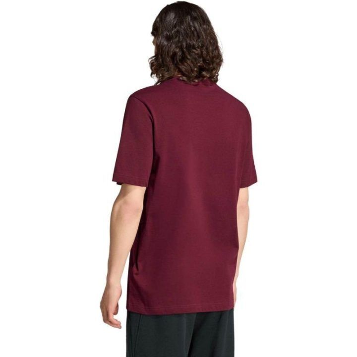 Vyriški marškinėliai adidas Essentials Small Logo, bordo