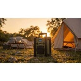Radijo imtuvas Blaupunkt PP35BT Survival