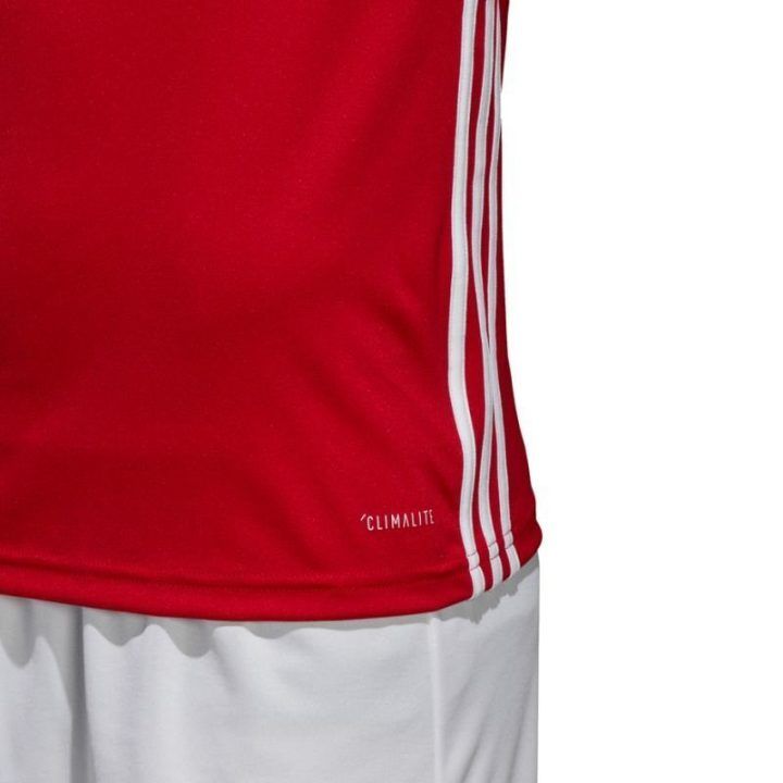 Vyriški sportiniai marškinėliai adidas Regista 18, raudoni