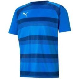 Vyriški Puma teamVISION marškinėliai, mėlyni