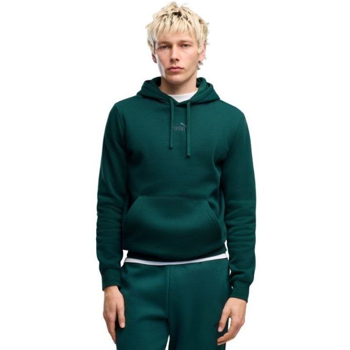 Vyriškas džemperis su gobtuvu Puma ESS Small No.1 Logo, žalias