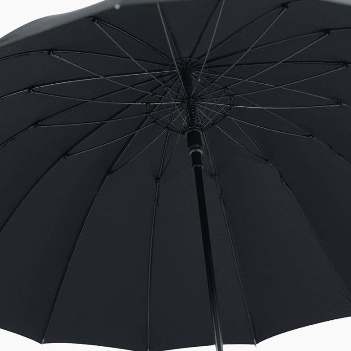 Moteriška kelioninė rankinė iš natūralios odos juoda Solier