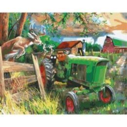 Tapyba pagal skaičius Traktorius kaime 40x50 cm