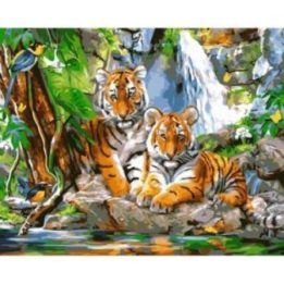 Tapyba pagal skaičius Tigro jaunikliai prie vandens 40x50 cm