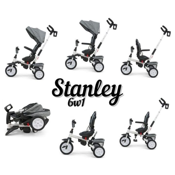 3116 Stanley Rubber Grey 6 viename triratis