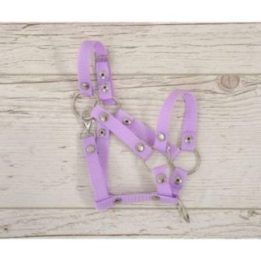 Reguliuojamas kantaras hobi arkliukui A3 violetinis