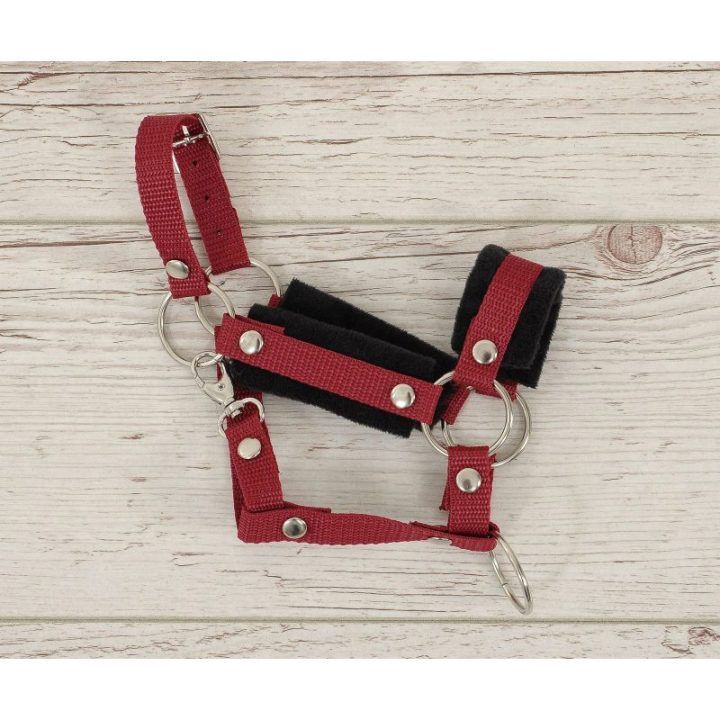 Hobby horsing kantaras ir pavadys – juoda ir burgundiška