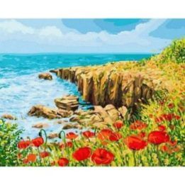 Tapyba pagal skaičius su aguonomis, 40x50 cm