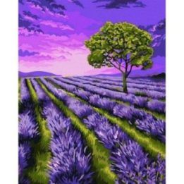 Tapyba pagal skaičius Levandų laukas 40x50 cm