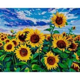 Tapyba pagal skaičius Saulėgrąžų laukas 40x50 cm
