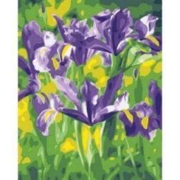 Tapyba pagal skaičius Violetiniai vilkdalgiai 40x50 cm