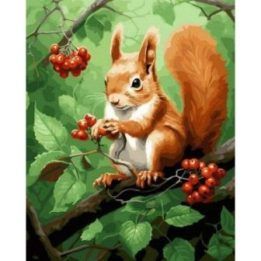 Tapyba pagal skaičius žaisminga voverė 40x50 cm