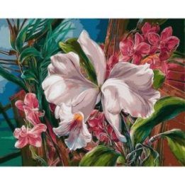 Tapyba pagal skaičius su tropinėmis orchidėjomis 40x50 cm