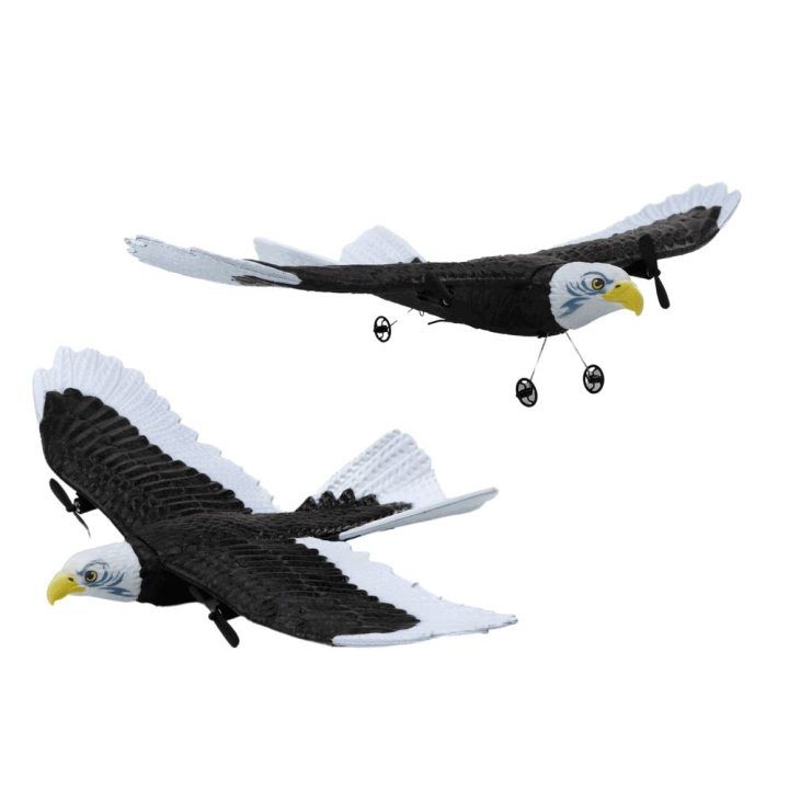 Lėktuvas valdomas nuotoliniu būdu Eagle Bird – skrydžio džiaugsmui ir smagiam laisvalaikiui