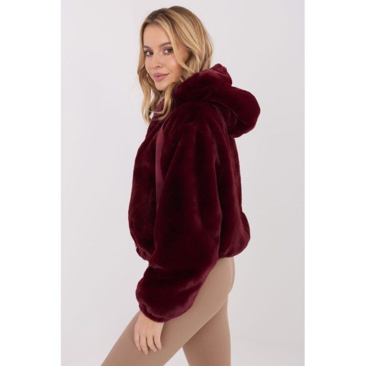 Striukė su gobtuvu Jack & Jones