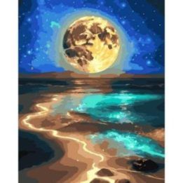 Tapyba pagal skaičius Mėnulio apšviestas vandenyno krantas 40 × 50 cm