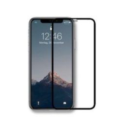 Apsauginis privatumo stiklas iPhone Xs Max