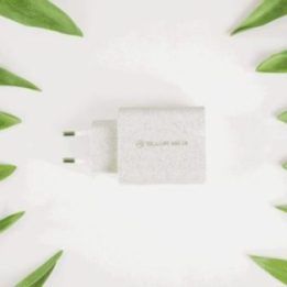 Tellur Green 38W dviejų prievadų sieninis įkroviklis, kreminis