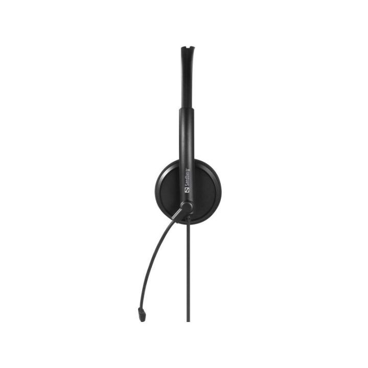 USB-C biuro ausinės su mikrofonu, 2 m
