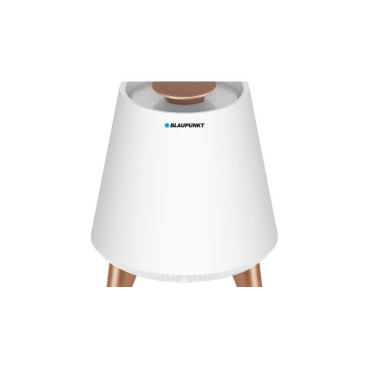 Bluetooth garsiakalbis su LED lempa Blaupunkt BT25LAMP