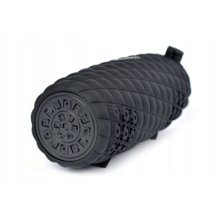 Bluetooth garsiakalbis Toshiba Sonic Blast 2 TY-WSP80, juodas