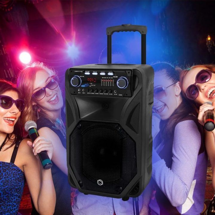 Manta SPK5021PRO Fonos mobilus garsiakalbis su belaidžiu mikrofonu