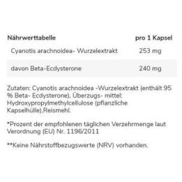Ecdysterono kapsulės GN 60 kapsulių