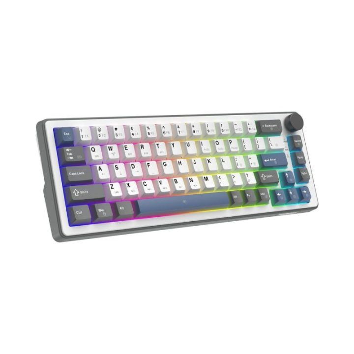 White Shark EXCALIBUR M GK-009251 mechaninė klaviatūra, balta, US