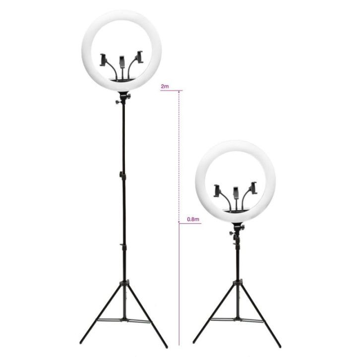 Rio RL18-EU/1.2 45 cm reguliuojamas LED žiedinis šviestuvas