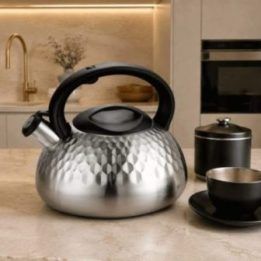 Brock MWK 004 La Cuisinette virdulys 2,5 l, plieninis