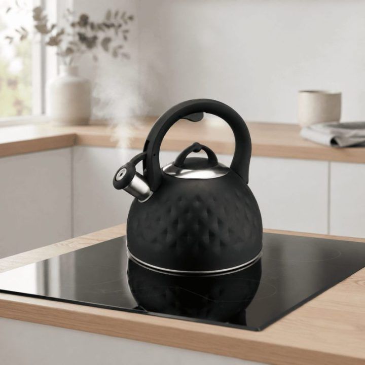 Brock MWK 003 BK švilpiantis virdulys 2,5 l, juodas / plieninis
