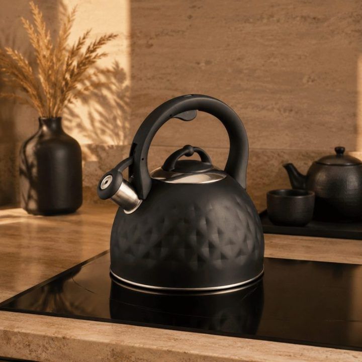 Brock MWK 003 BK švilpiantis virdulys 2,5 l, juodas / plieninis