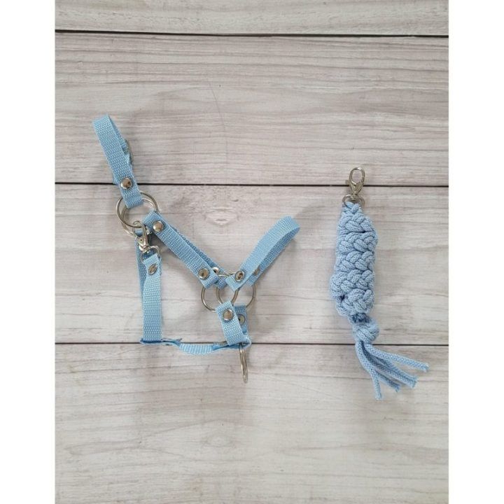 Hobby Horse kantaras su pavadėliu, šviesiai mėlynas